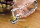 أداة التخلص من نواة الزيتون