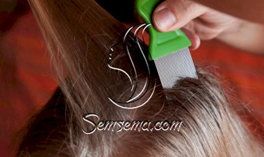 حماية طفلك من حشرات الرأس أثناء المدارس