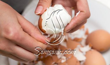 لا تتخلصي منها.. فوائد غير متوقعة لقشور البيض