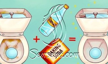 الخل والبيكنج صودا لقاعدة تواليت نظيفة