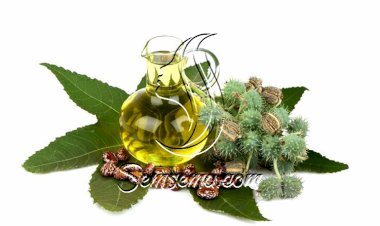 تعرفي على فوائد زيت الخروع