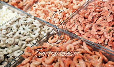 نصائح مهمة لشراء الجمبري