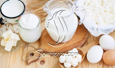 طرق حفظ منتجات الألبان