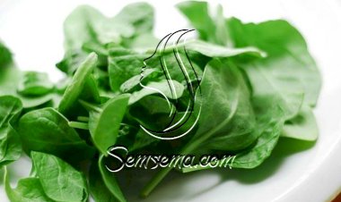 فوائد الجرجير للشعر