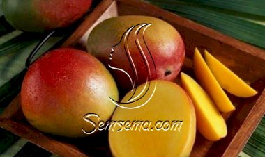 فوائد المانجو للشعر