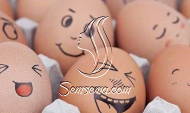 فوائد البيض للجسم والبشرة والشعر