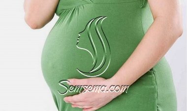 فوائد الشمام للحامل