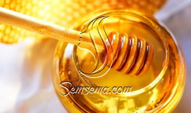 كيف نعرف عسل النحل المغشوش