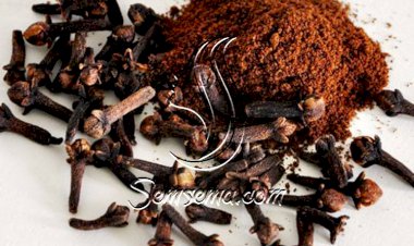 للقرنفل إستخدامات عديدة لعلاج الجسم