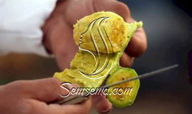 التين الشوكي فاكهة تنقص الوزن وتطهر الأمعاء