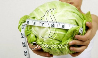 الملفوف يقضى على الوزن الزائد