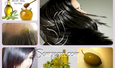 فوائد زيت الزيتون على الشعر