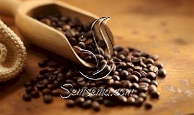 القهوه أفضل علاج لتقصف الشعر