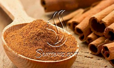 انقصى وزنك وبدون رجيم مع &quot; القرفة&quot;