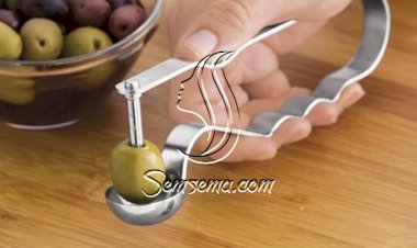 أداة التخلص من نواة الزيتون