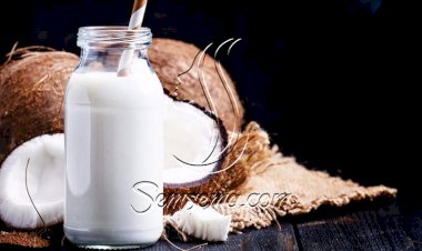 للنباتيين.. طريقة عمل لبن جوز الهند