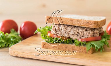 طريقة عمل ساندويتش التونة بالطماطم والفلفل