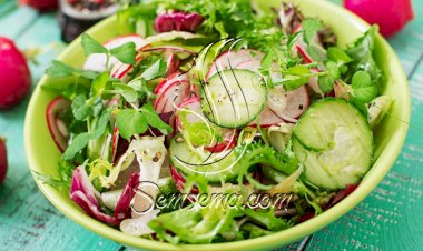 طريقة عمل سلطة خيار بالفجل الأحمر