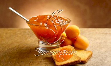 طريقة عمل مربى المشمش في المنزل