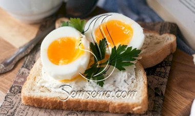 طريقة عمل توست الجبنة بالبيض المسلوق