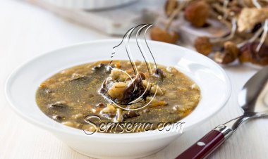 طريقة عمل شوربة لسان العصفور بالكبد والقوانص