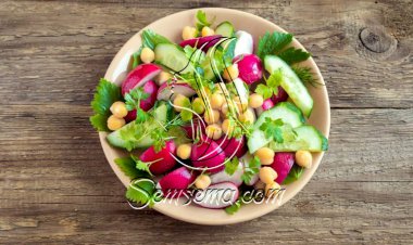 طريقة عمل سلطة فجل أحمر بالحمص