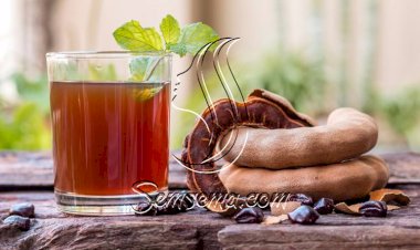 طريقة عمل مشروب التمر هندي