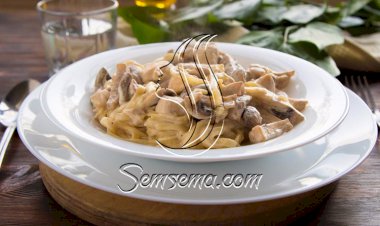 طريقة عمل المكرونة بالدجاج والمشروم الكريمي