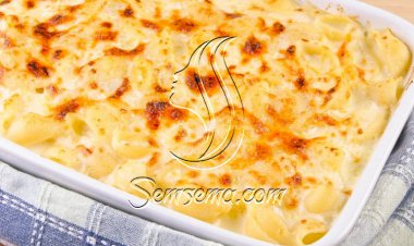 طريقة عمل المكرونة البشاميل بقطع الدجاج