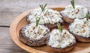 طريقة عمل المشروم بالجبن الكريمي