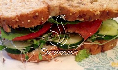 طريقة عمل ساندويتش البيبروني بالخيار