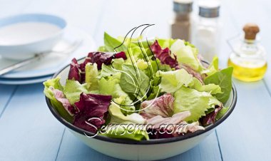 طريقة عمل سلطة الخس والكرنب الأحمر