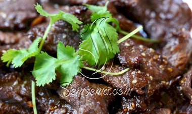 طريقة عمل ستيك بالسمسم وصوص الصويا