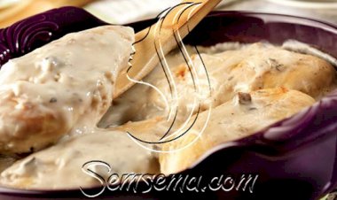 طريقة عمل صدور الدجاج بشوربة المشروم الكريمي