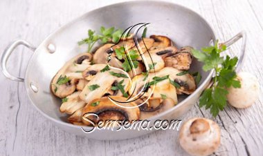 سلطة الفطر السهلة