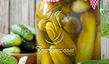 مخلل الخيار