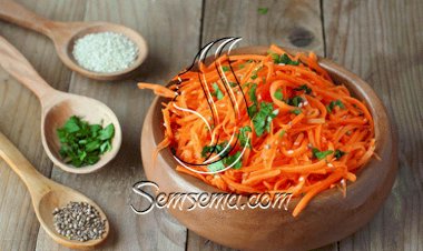 سلطة الجزر بالليمون والأعشاب للرجيم