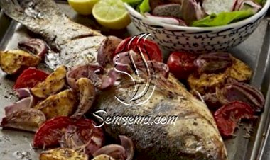 سمكة حرّة من ماجي بالفيديو