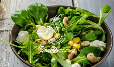 سلطة الجرجير