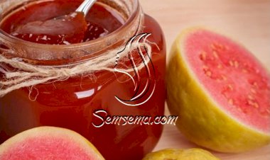 مربى الجوافة