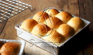 خلية النحل بالدجاج