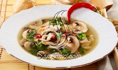 شوربة الدجاج بالفطر