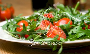 سلطة الجرجير مع جبن البارميزان والطماطم