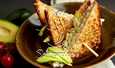 بانيني بالتونة للرجيم