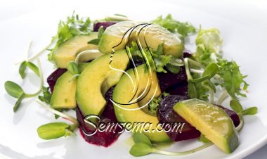 سلطة الأفوكادو مع الشمندر والجرجير