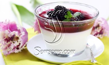 طريقة عمل البالوظة بالتوت الشامي