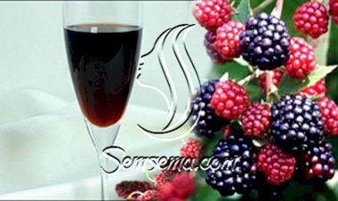 طريقة عمل عصير التوت الطبيعي