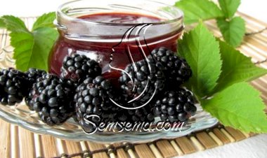 طريقة عمل مربى التوت الشامي