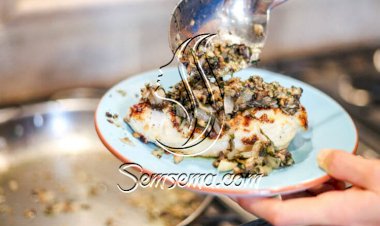 فيليه الدجاج مع الفطر طريقة التحضير