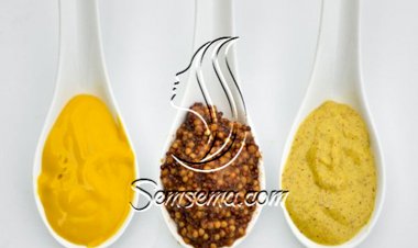 طريقة عمل الخردل في المنزل